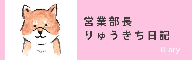 りゅうきち日記バナー