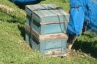 ミツバチ巣箱