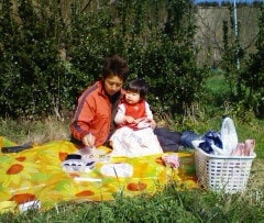 梅の畑でピクニック