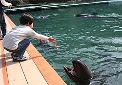 くじらの博物館