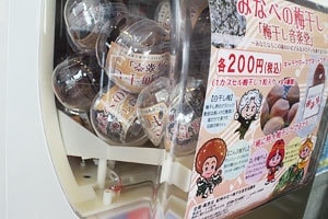 梅干しガチャポン