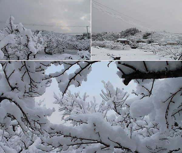 雪景色